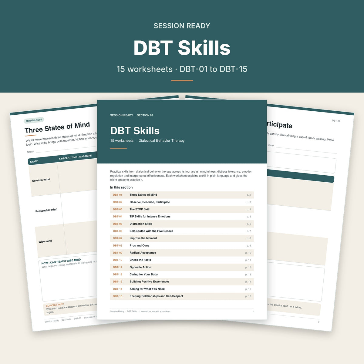 DBT Skills worksheet pages