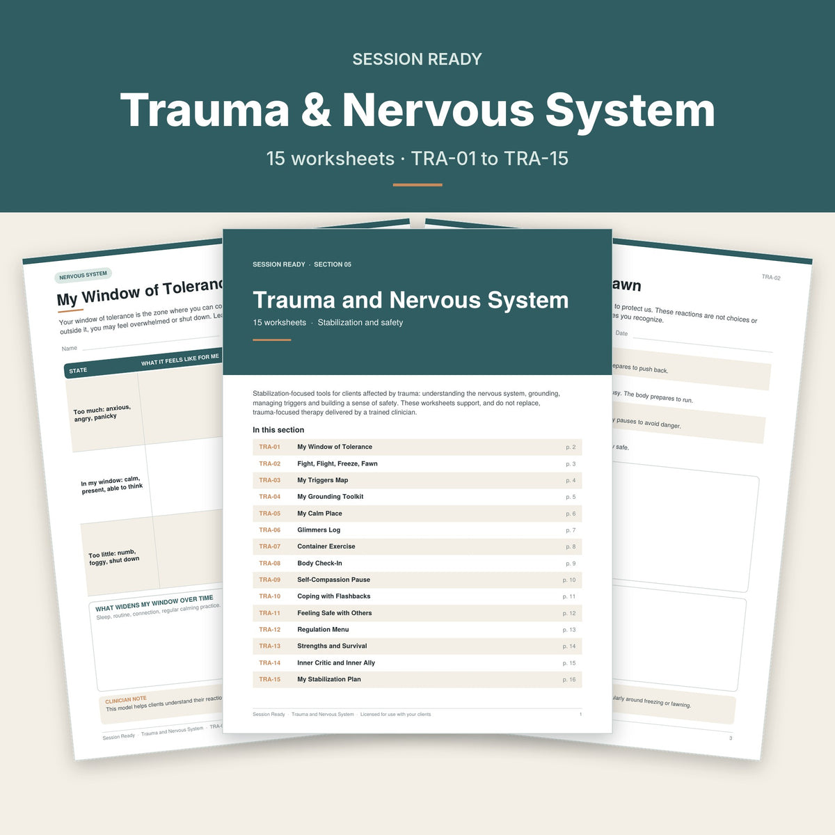 Trauma and Nervous System worksheet pages