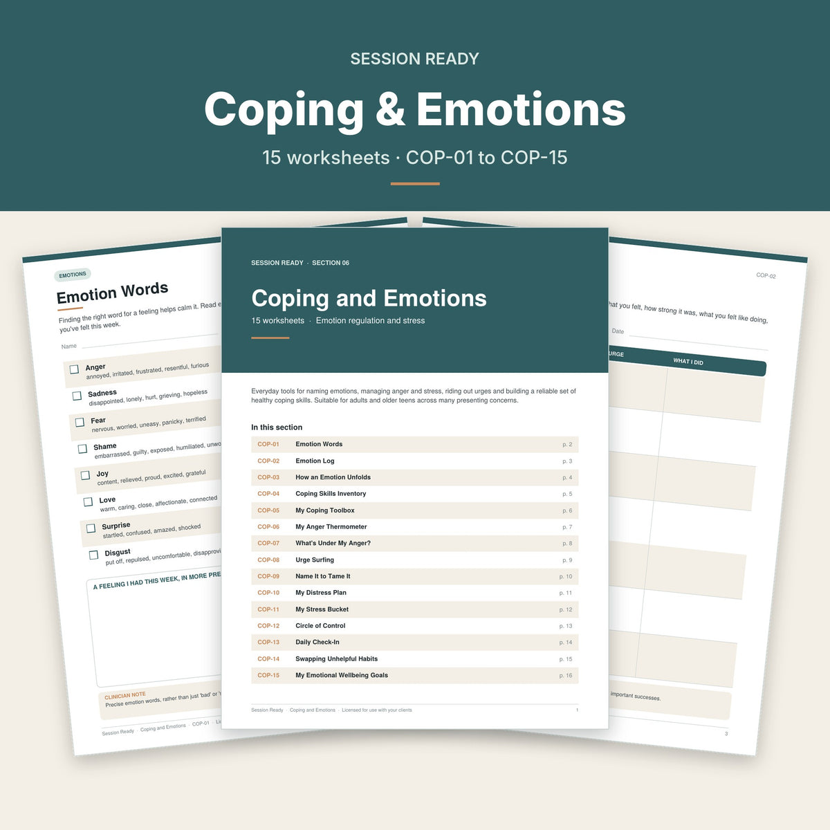 Coping and Emotions worksheet pages